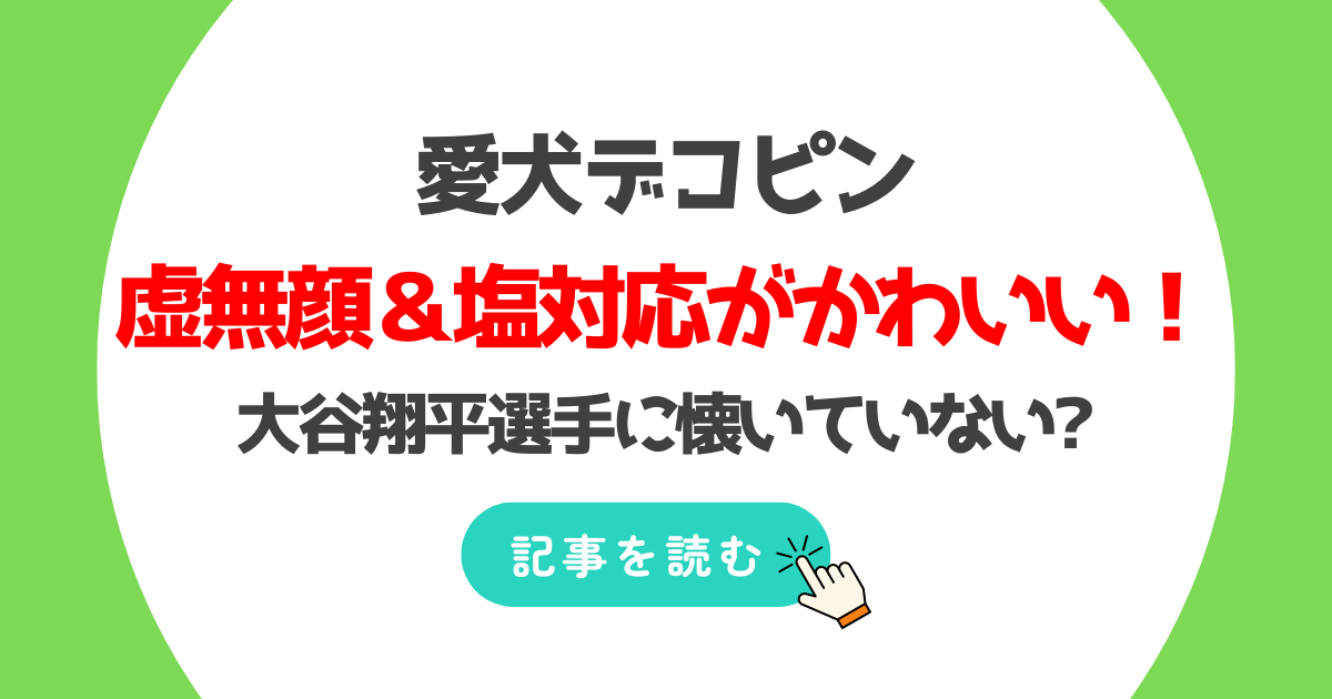 デコピンの虚無顔画像＆塩対応がかわいい!大谷翔平に懐いていない?